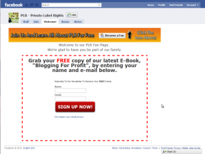 Facebook Static FBML Introduction Video